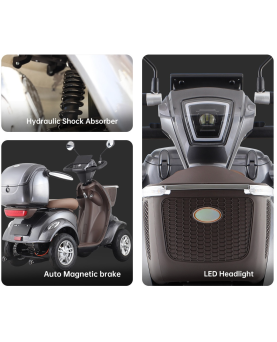 Electric 4-wheel scooter Lunar 2, 500W, AC