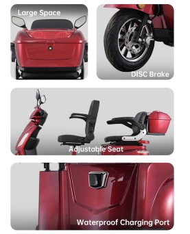 Electric Tricycle VISTA-2, 1000W, Li-ion, EEC