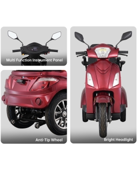 Electric Tricycle VISTA-2, 1000W, AC, EEC