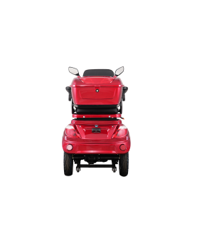 Electric Tricycle VISTA-2, 1000W, Li-ion, EEC