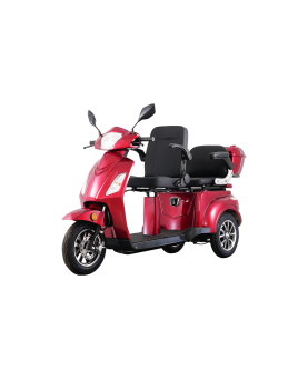 Electric Tricycle VISTA-2, 1000W, Li-ion, EEC