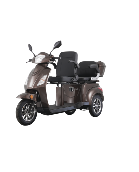 Electric Tricycle VISTA-2, 1000W, Li-ion, EEC