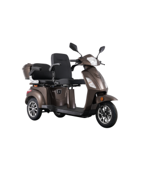 Electric Tricycle VISTA-2, 1000W, Li-ion, EEC