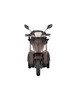 Electric Tricycle VISTA-2, 1000W, Li-ion, EEC