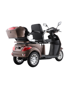 Electric Tricycle VISTA-2, 1000W, Li-ion, EEC