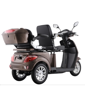 Elektriskais Triratis VISTA-2, 1000 W, AC, EEC