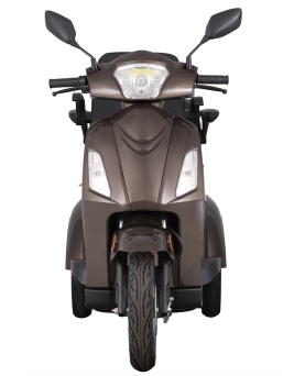 Electric Tricycle VISTA-2, 1000W, AC, EEC