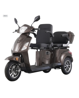 Electric Tricycle VISTA-2, 1000W, AC, EEC