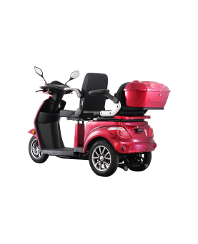 Electric Tricycle VISTA-2, 1000W, AC, EEC from exhibition