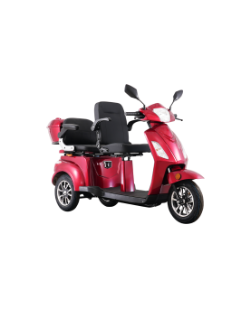 Electric Tricycle VISTA-2, 1000W, AC, EEC from exhibition