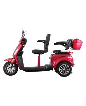 Electric Tricycle VISTA-2, 1000W, AC, EEC