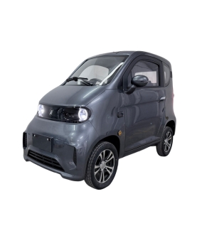 Elektrinis Mini Auto...