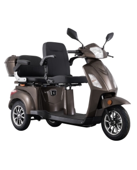Electric Tricycle VISTA-2, 1000W, Li-ion, EEC