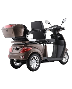 Elektrinis Triratis VISTA-2, 1000W, Li-ion, EEC