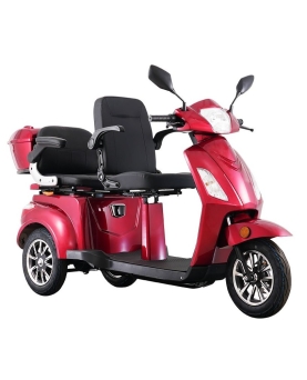 Elektrinis Triratis VISTA-2, 1000W, Li-ion, EEC