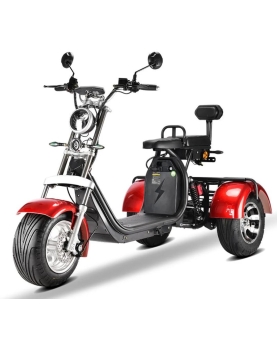 Elektrinis Triratis CP-3,...