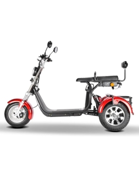 Electric moped CP-3, 2000W, Li-ion, EEC