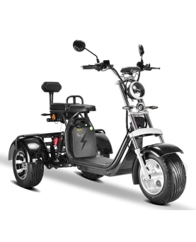 Elektrinis Triratis CP-3,...