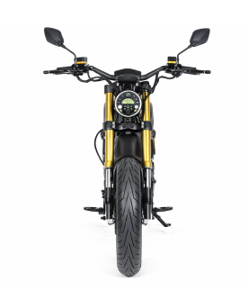 Electric moped M8S, 4000W, Li-ion, EEC