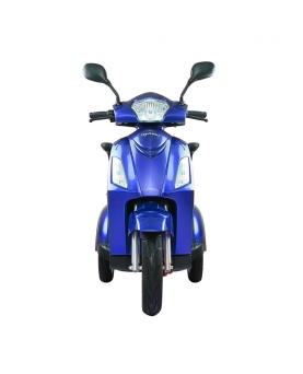 Electric Tricycle Vista-1 with roof, 1000W, AC, EEC