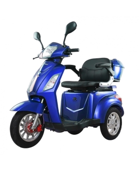 Electric Tricycle Vista-1 with roof, 1000W, AC, EEC
