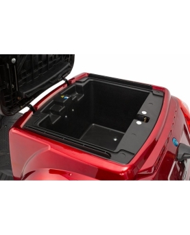 Elektrinis Triratis BN022, 800W, AC, EEC