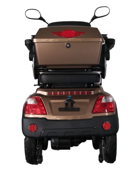 Electric Tricycle BN022, 800W, AC, EEC
