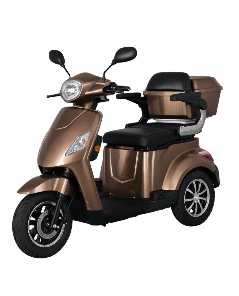 Electric Tricycle BN022, 800W, Li-ion, EEC