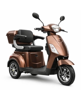Electric Tricycle BN022, 800W, Li-ion, EEC