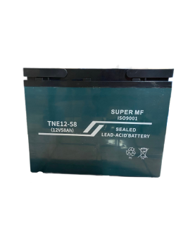 12V 52AH (6 vnt. - 72V) AC...