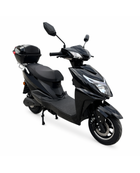 Electric scooter Z1000, 1000W, AC