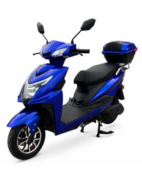 Elektrinis motoroleris Z1000, 1000W, AC