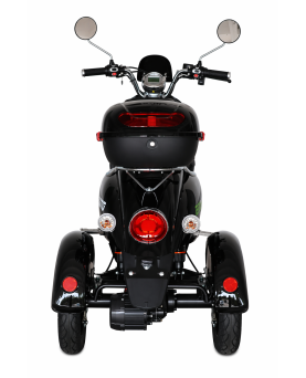 Electric Tricycle Retro, 800W, AC, EEC