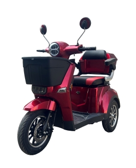 Electric Tricycle BN022-4, 800W, AC, EEC