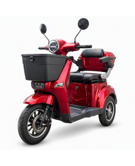 Electric Tricycle BN022-4, 800W, AC, EEC