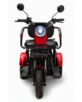 Electric tricycle M20, 800W, AC, EEC