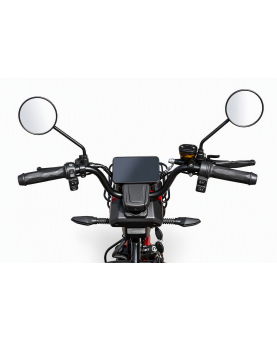 Electric tricycle M20, 800W, Li-ion, EEC