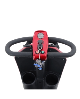 Electric Foldable Scooter Max Plus, 300W, AC