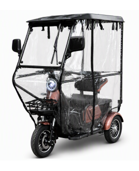 Electric tricycle M20 with roof and awning, 1000W, AC, EEC