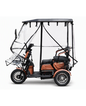 Electric tricycle M20 with roof and awning, 1000W, AC, EEC