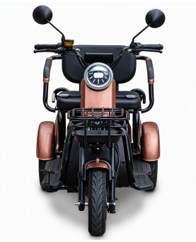 Electric tricycle M20, 800W, AC, EEC
