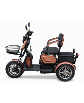 Electric tricycle M20, 800W, AC, EEC