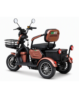 Electric tricycle M20, 800W, AC, EEC