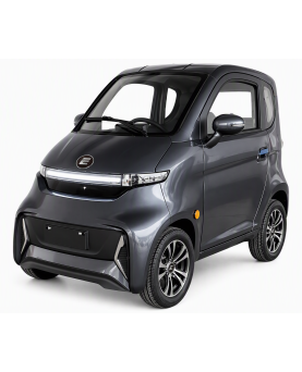 Elektrinis Mini Auto...